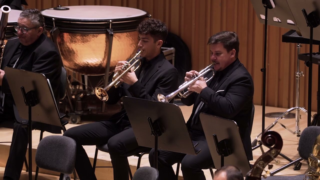 Symphony No. 7 Op. 92   IV Allegro con brio