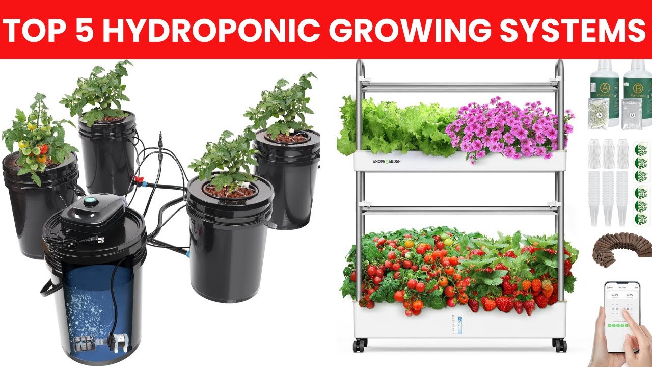 Top 5 Best Hydroponic Growing Systems 2025 🌱 | Indoor & Outdoor Hydroponics for Beginners