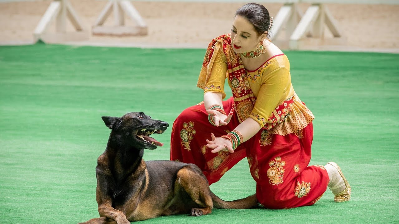 Танцы с собаками Давыдова Светлана и малинуа Форс Чемпионат России 29 05 2022 