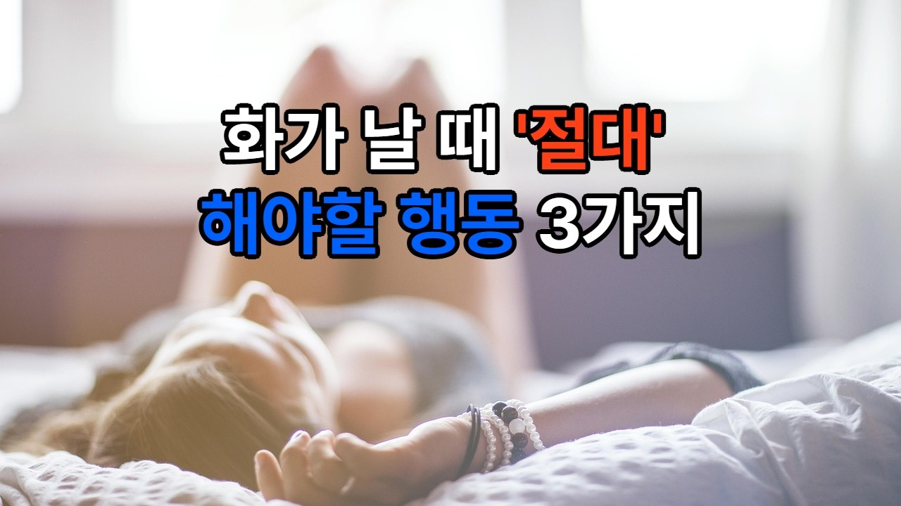 화가 날 때 '절대' 해야 할 행동 3가지 #명상 #분노 #위로 #자아성찰