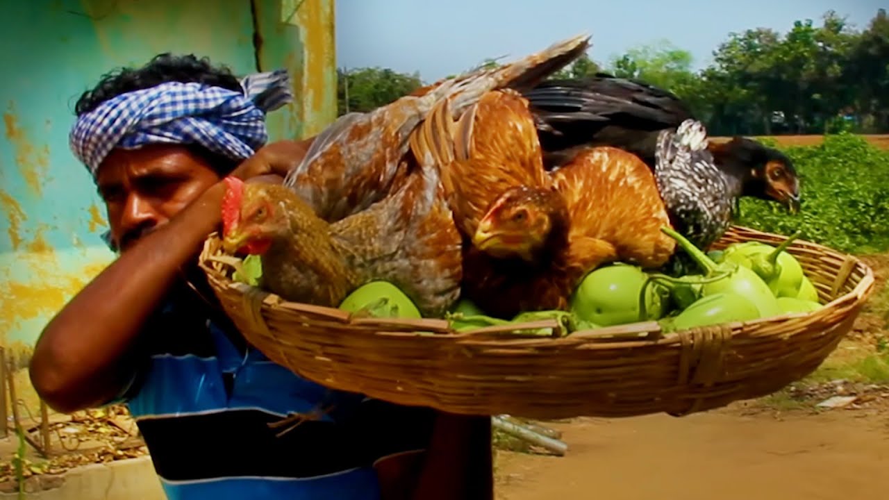 BRINJAL with CHICKEN Find in Village  and Awesome Cooking Recipe in Village Hunter