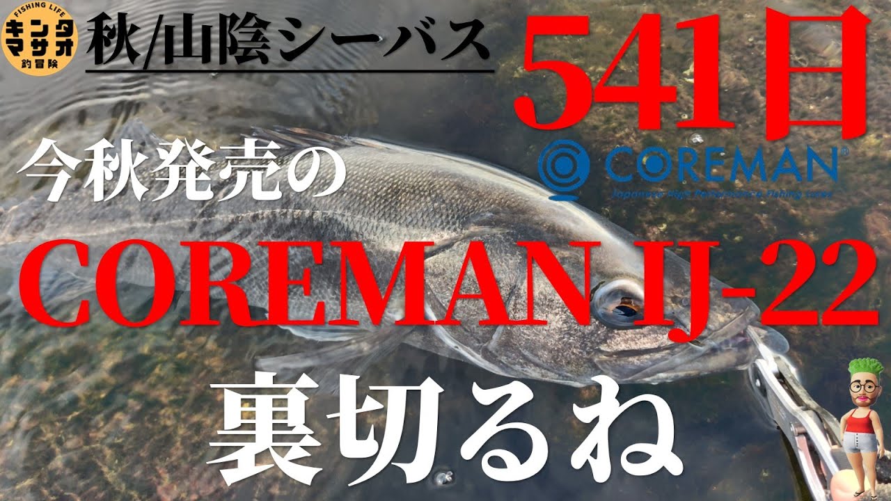 COREMAN(コアマン) IJ-22が裏切ってくれた　541日ぶりのランカーシーバス　秋 シーバス サヨリ　コノシロ　ヒイラギ【中海/宍道湖・島根(山陰釣り)】中海シーバス　ルアーフィッシング