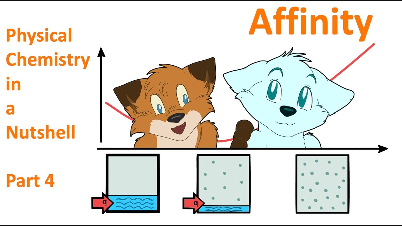 Affinity 101 (Are Energy and/or Entropy with us? Thermochemistry & driving force; PhysChemBasics#4)