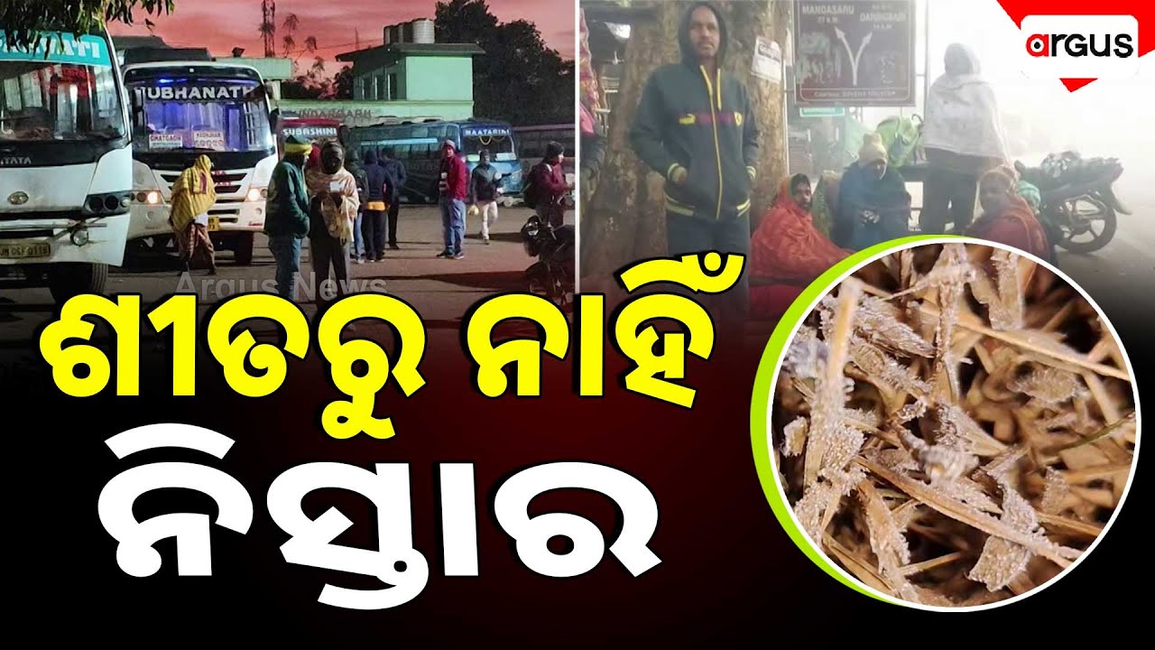 🔴Live | କଲବଲ କରୁଛି ଜାଡ଼ | Weather Update | Odisha | 09 Jan 2026 | Argus News