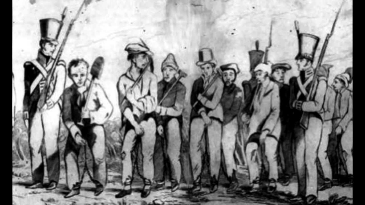 Skylark:  'The Boys of Mullaghbawn'