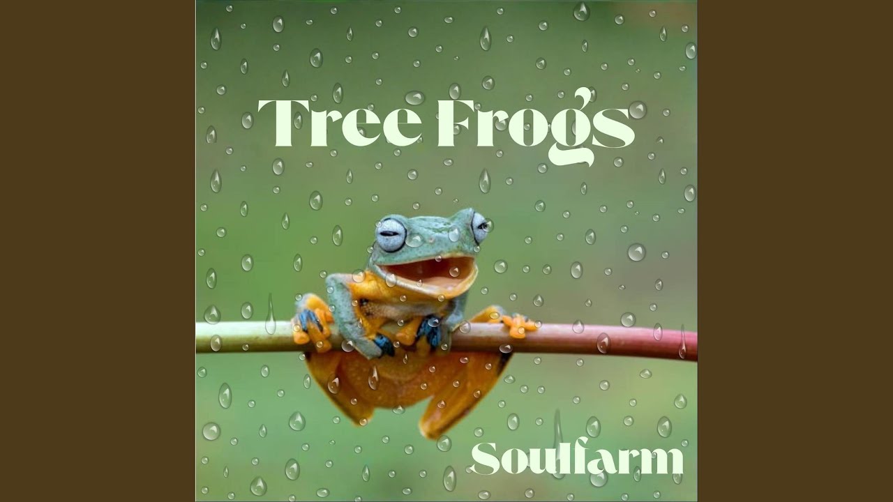 Tree Frogs