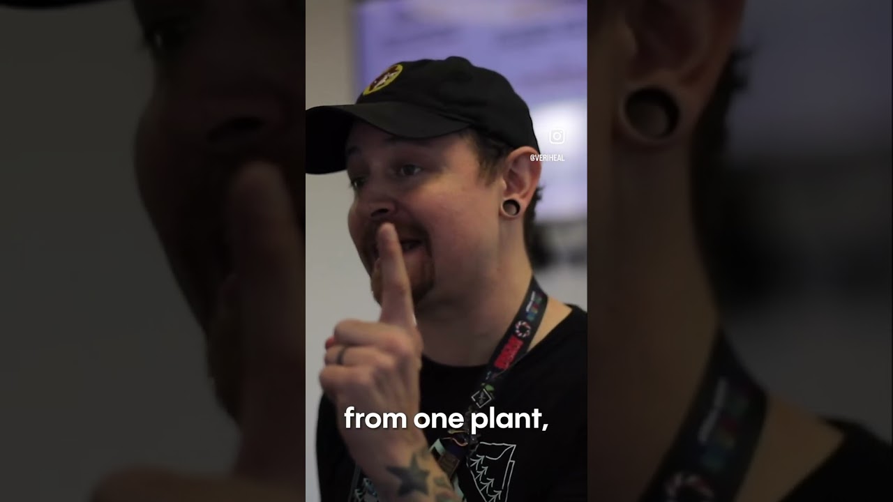 What Are Phenotypes? Seed and Smith Explains #phenotypes #seedandsmith #grow