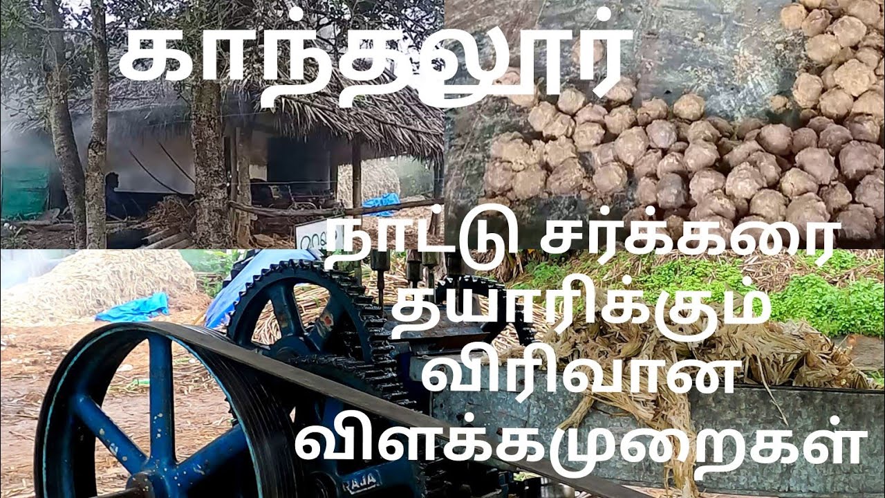 kanthaloor| Marayoor Jaggery |  நாட்டு சர்க்கரை தயாரிக்கும் விரிவான விளக்கமுறைகள்|