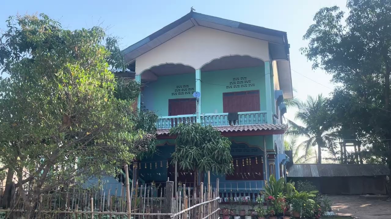 ພາມາເບີ່ງເດີ່ນວັດ