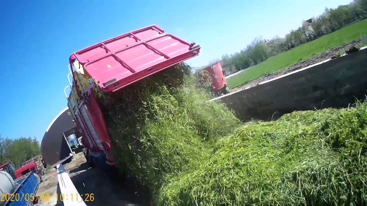 Co za dzień, co za akcja