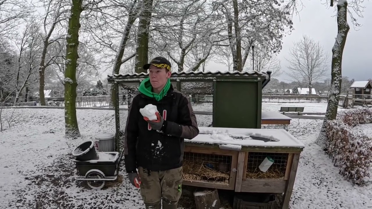 Je verwacht het niet 