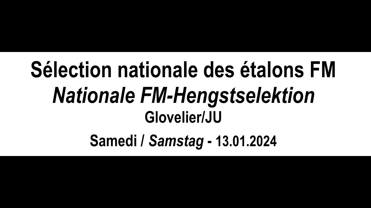 SNEG 2024