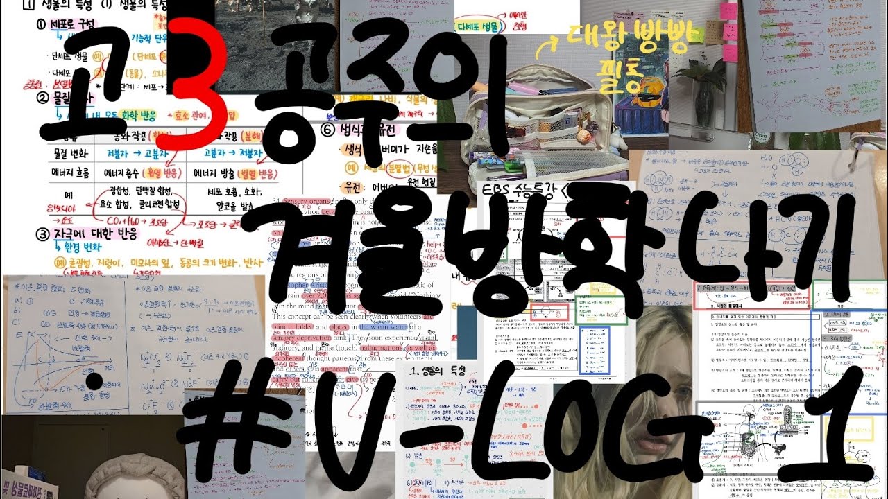 #V-LOG [1] 공주의 겨울방학 나기 #스터디브이로그 #공주 #고3 #겨울방학 #갓생 #미라클모닝 #공부자극 