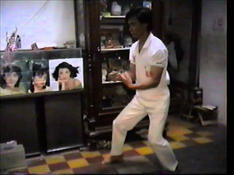 Sam Chien by Shifu Thio Tek Kwie ( Full Version ) 三戰武術