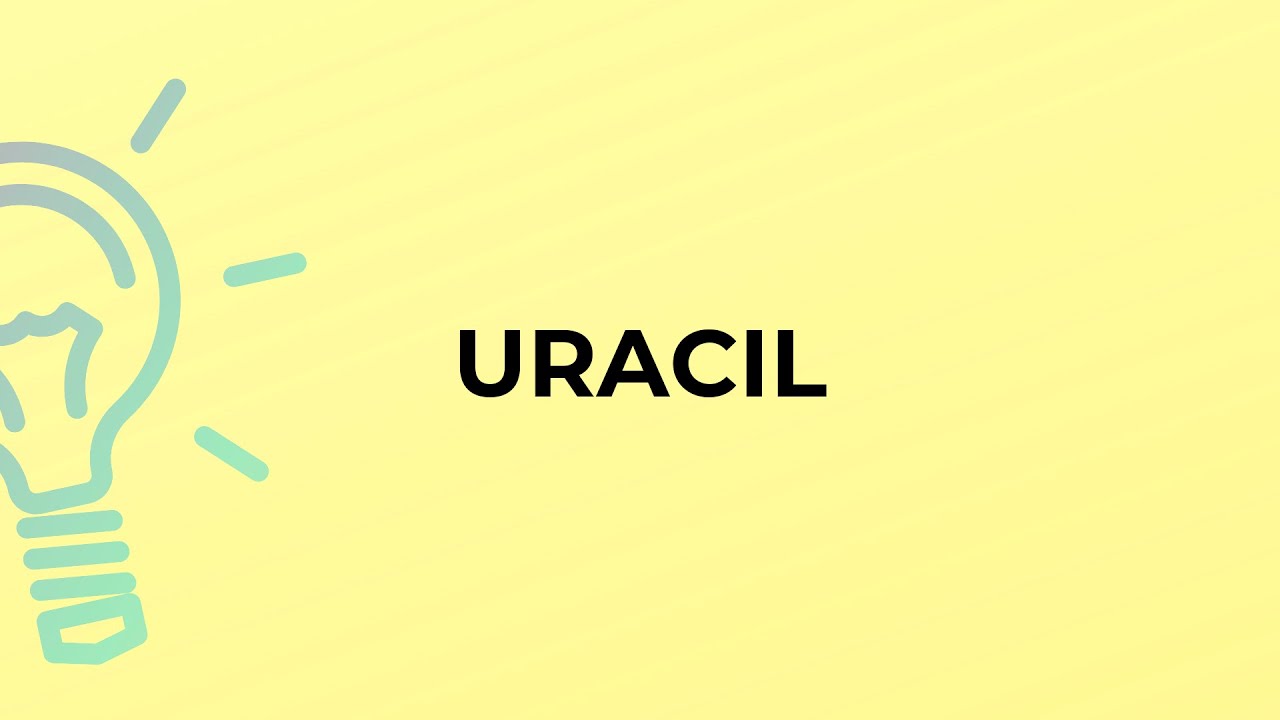 What is the meaning of the word URACIL?