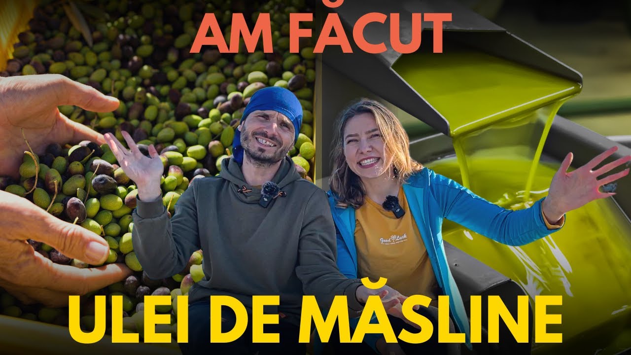 De ce e asa de scump ULEIUL DE MASLINE? Cum arata o fabrica de ulei si cum se produce in GRECIA