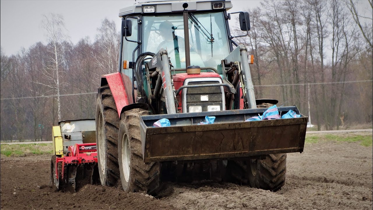 ☆Siew Pszenicy 2019☆  Massey Ferguson 6130 & Agregat talerzowy AWEMAK 2.7 m & Poznaniak
