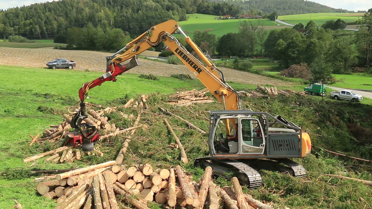 Liebherr R924C harvester