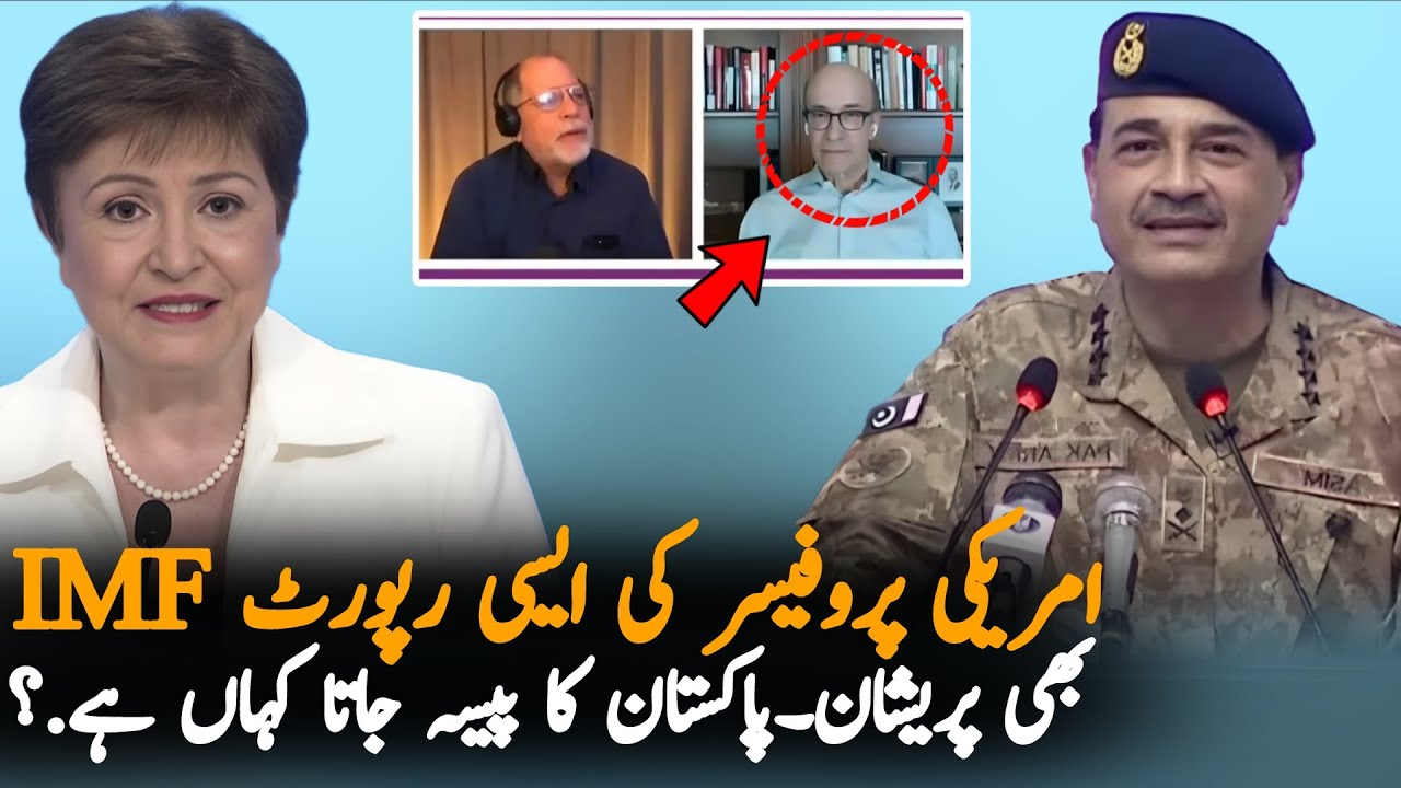 American Professor Analysis On IMF Loan And Pakistan Establishment | Reality Of Pakistan's Economy