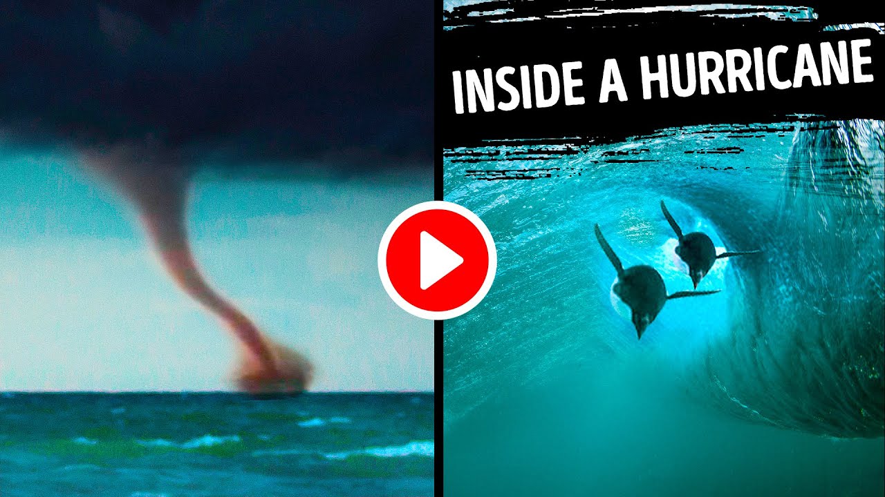What Happens Underwater During a Hurricane