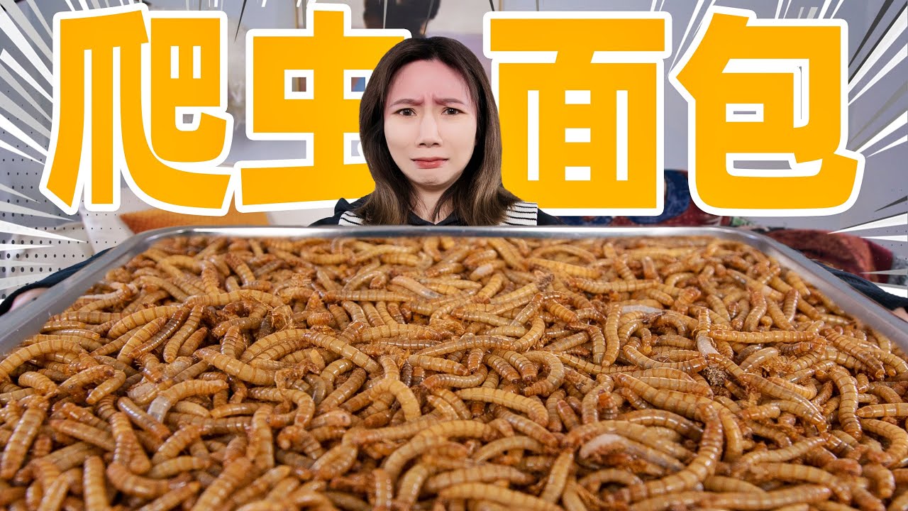 用10000只面包虫，做面包！| Mealworms Make Bread
