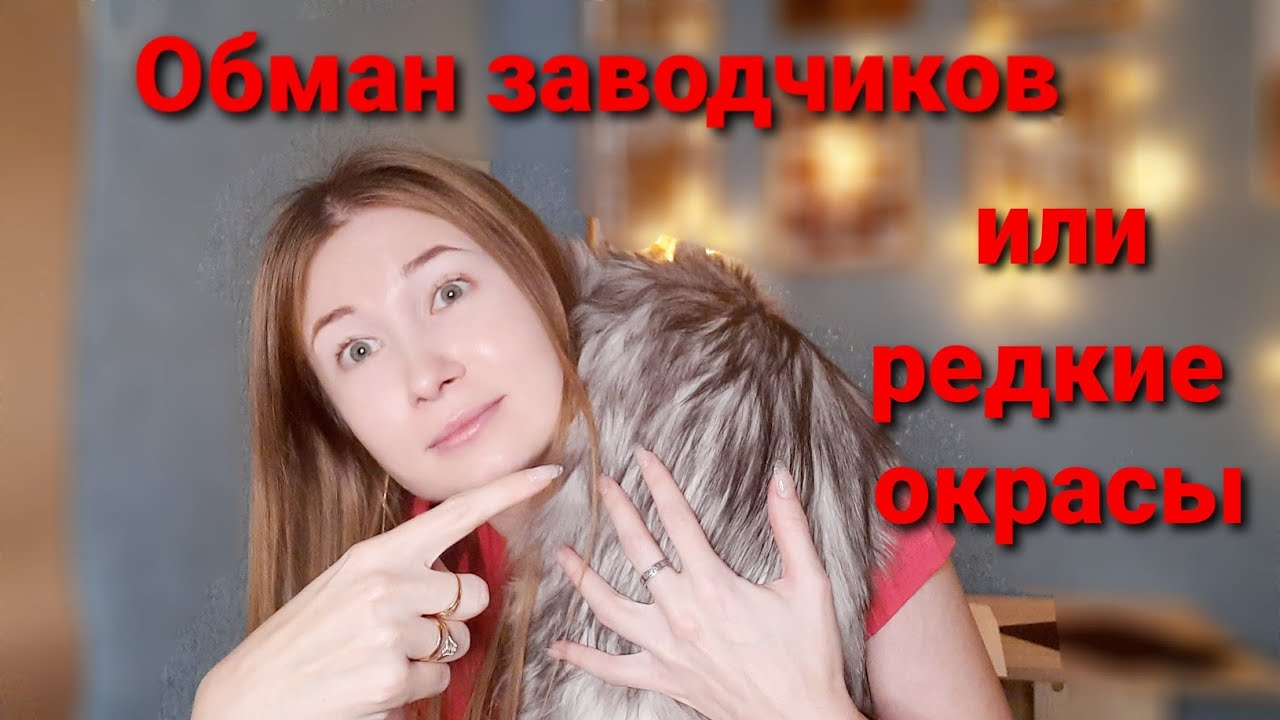 Что такое 