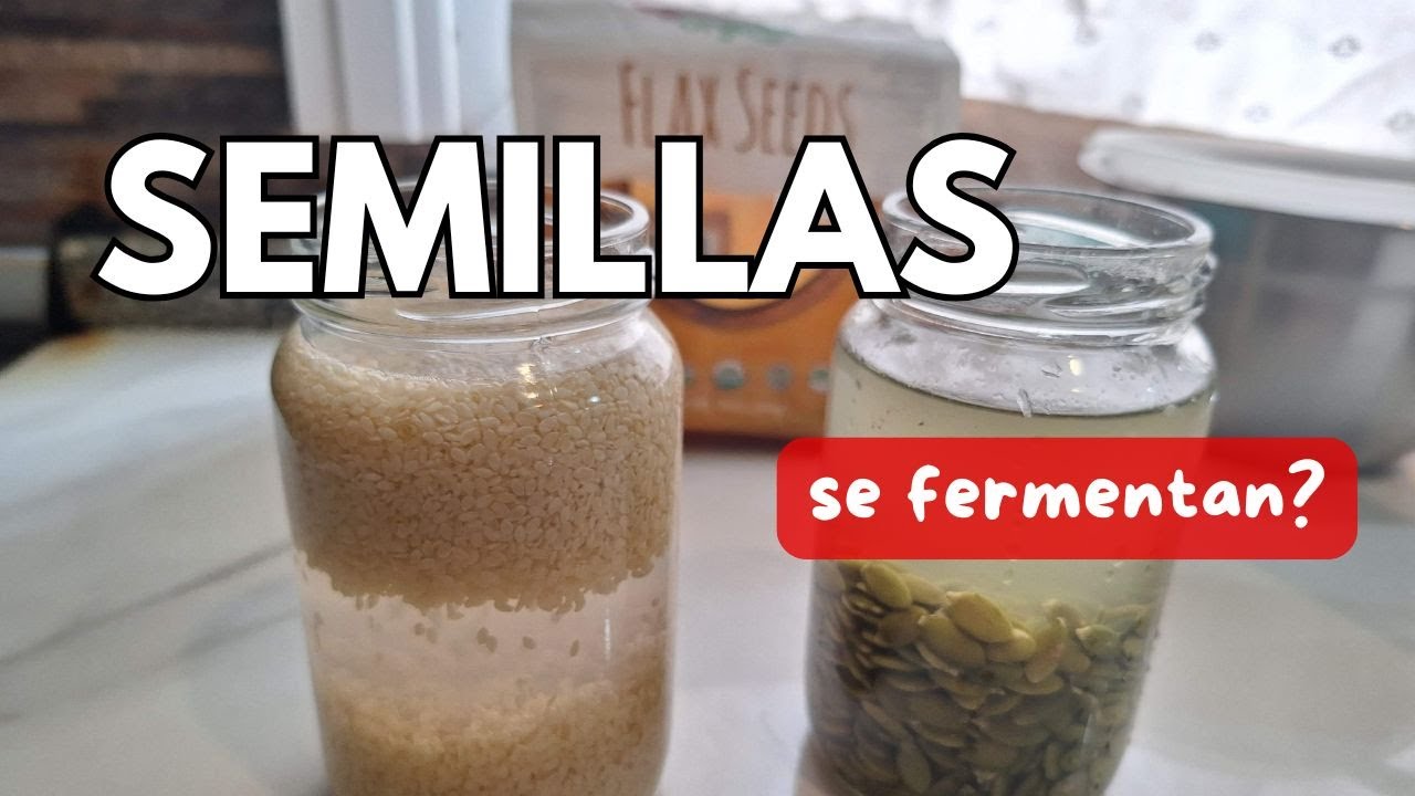 Fermentación de Semillas: El Secreto Antiinflamatorio para Mejorar Digestión y Energía RECETAS