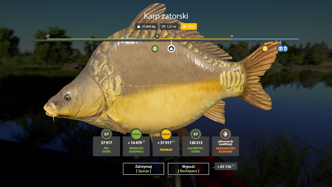 Russian Fishing 4 Frame-sided carp Trophy - Amber Lake