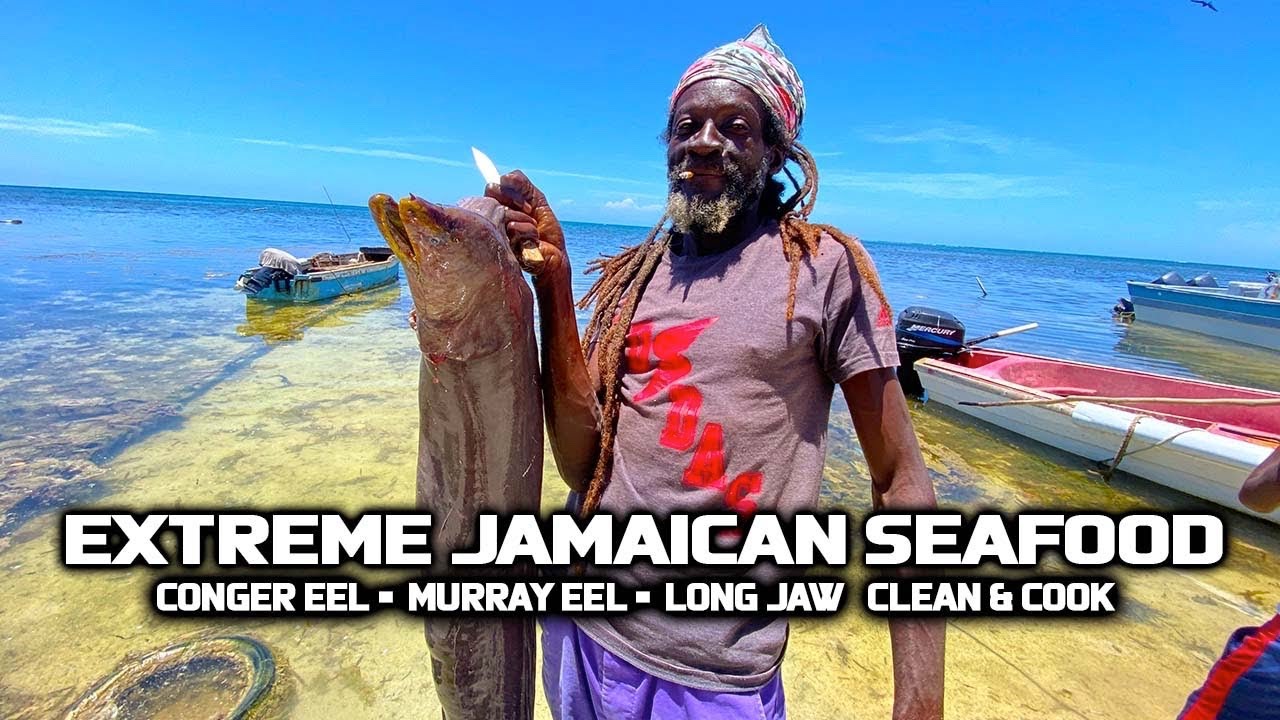 POISONOUS EEL!?! EXTREME JAMAICAN SEAFOOD CONGER EEL MORAY EEL & LONG JAW FISH