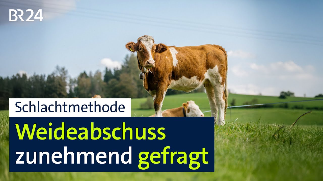 Erste Studien: 