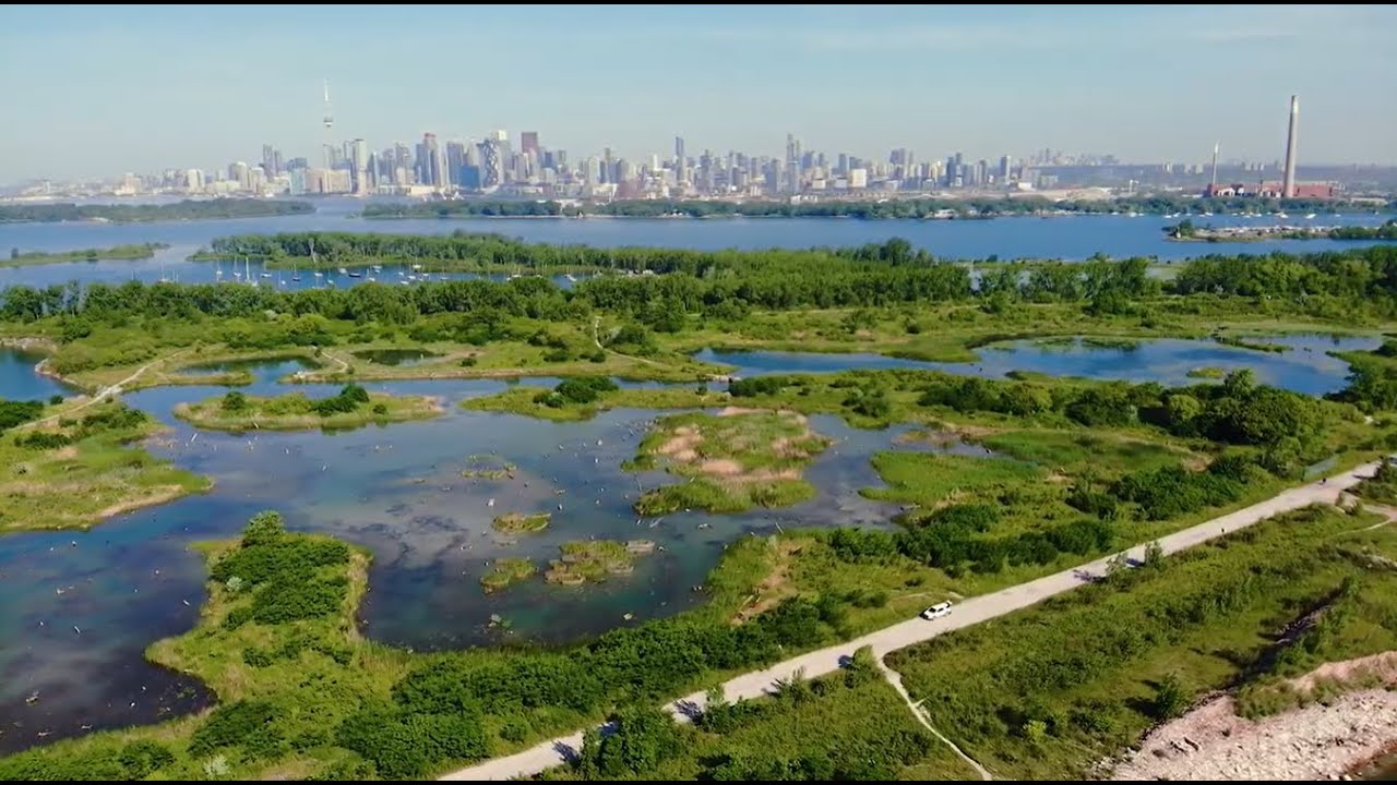 TTP - 2025 New Sustainable Cities and Human Settlements Award for Ecological Restoration Excellence