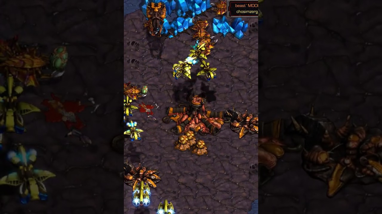 SOMA'S scouts vs drones??? | #falconpaladin  #starcraft #broodwar #gaming #pcgaming