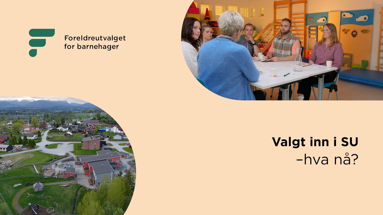 Valgt inn i SU? Her er alt du trenger å vite