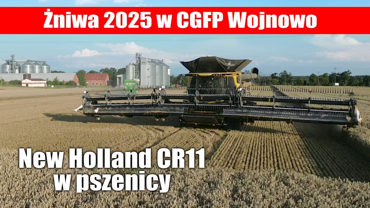 New Holland CR11 w pszenicy - żniwa 2025 w CGFP Wojnowo