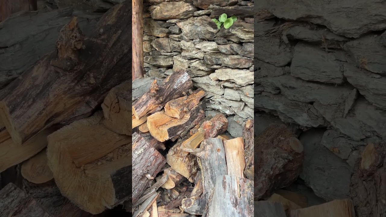 Belleza romántica asombrosa de la aldea con leña.