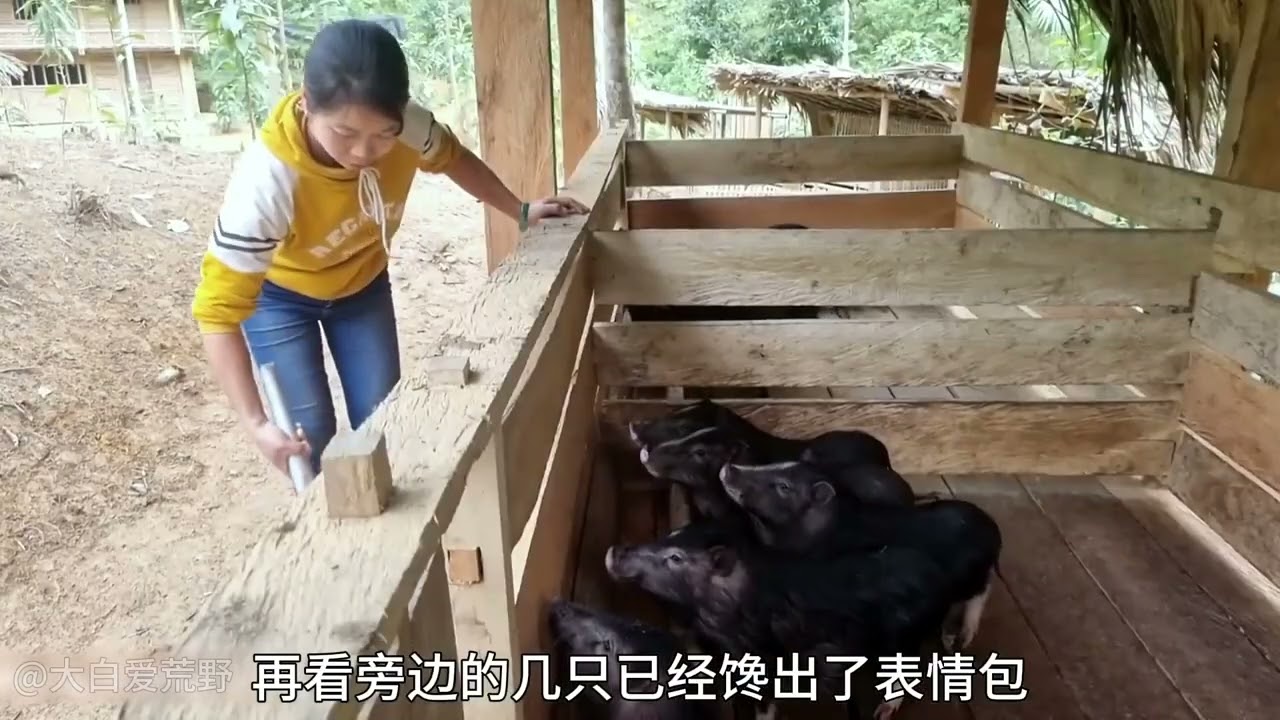 第19集|-丽娜独居丛林打造农庄，制作猪食打理农庄#野外生活纪录片 #荒野独居 #野外建造