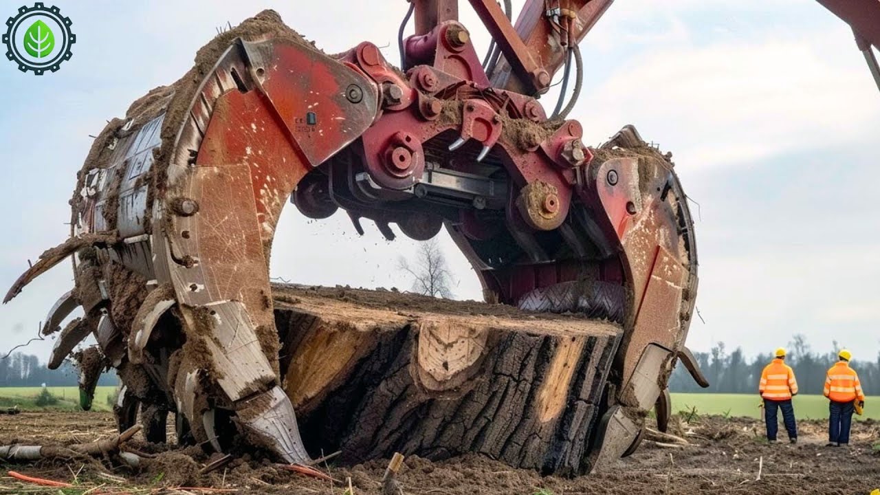 Extreme Dangerous Fastest Big Chainsaw Cutting Tree Machines | Monster Stump Removal Excavator ▶75