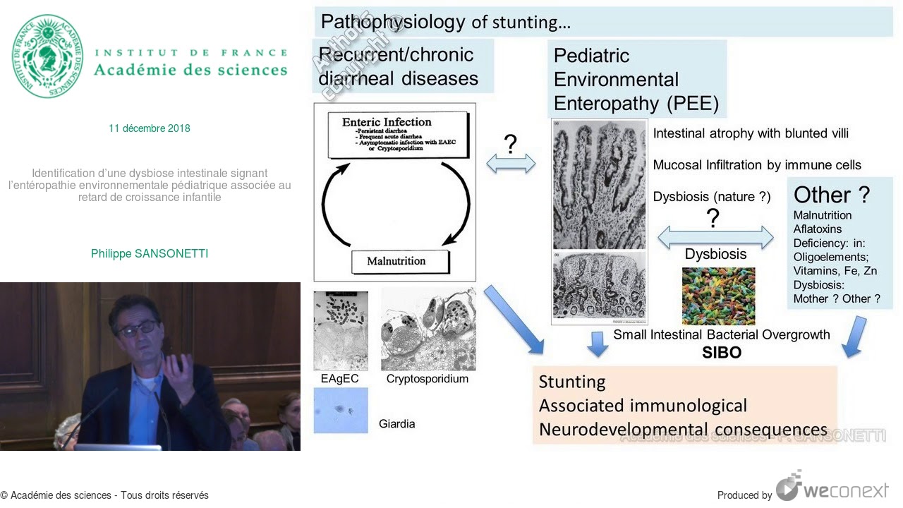 [Conférence] P. SANSONETTI - Identification d’une dysbiose intestinale signant l’entéropathie