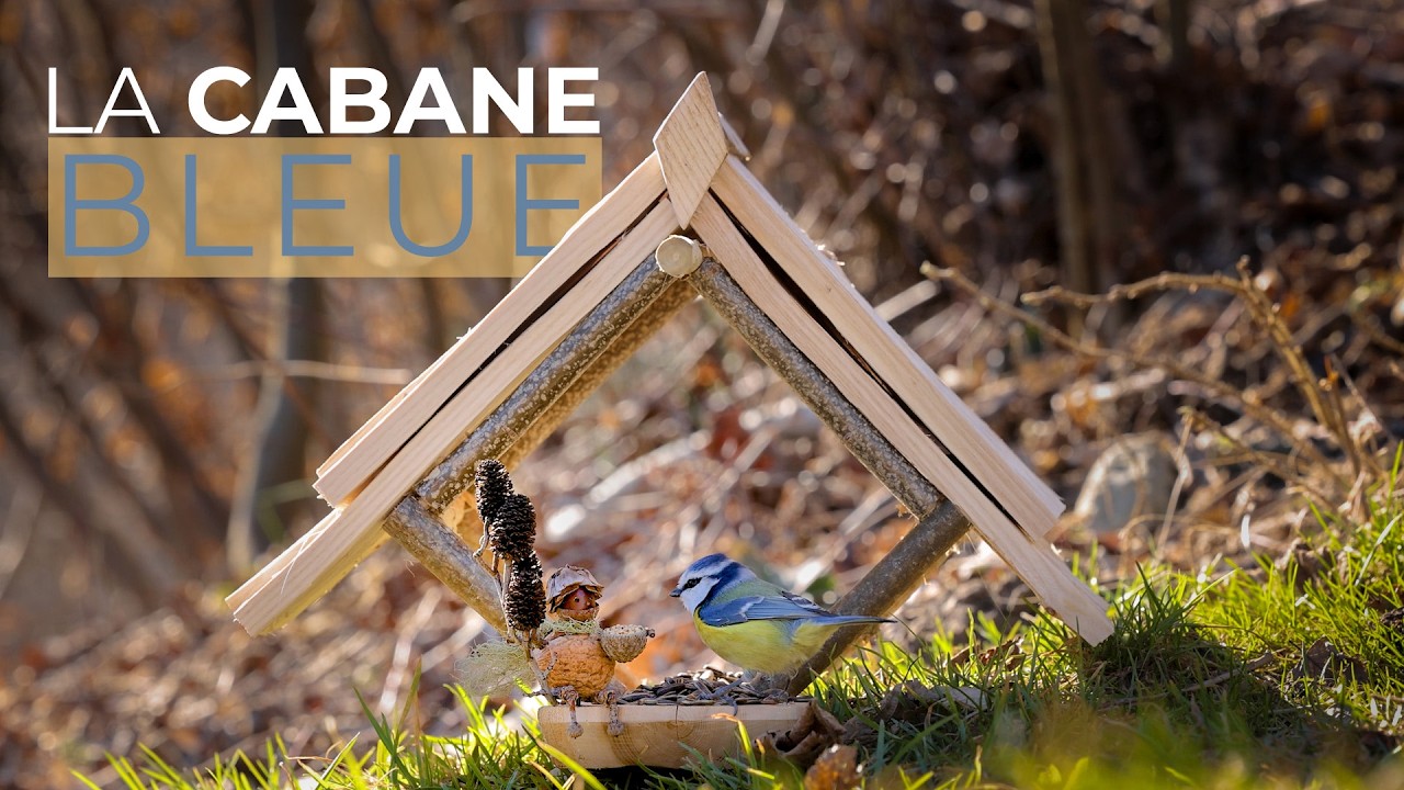 Réalisation d’une cabane à oiseaux maison × Le Veilleur PICOTIN #bricolage #homemade