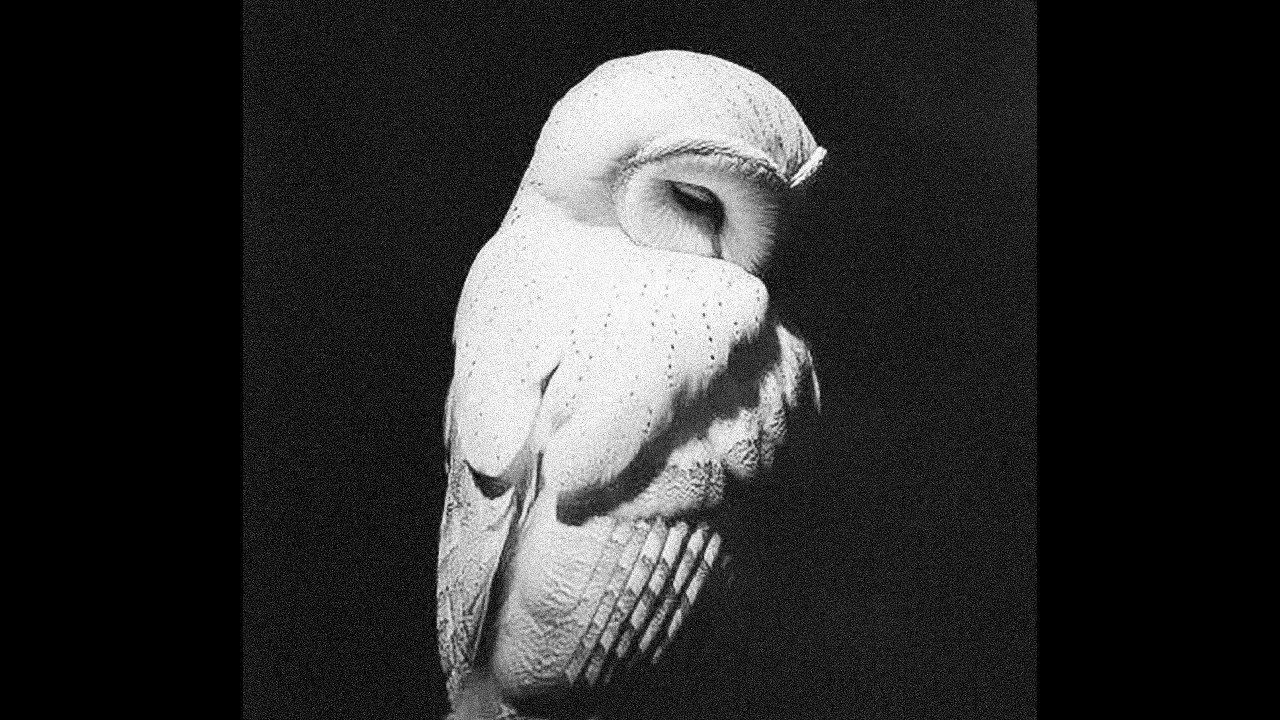 [FREE] Drake Type Beat - 