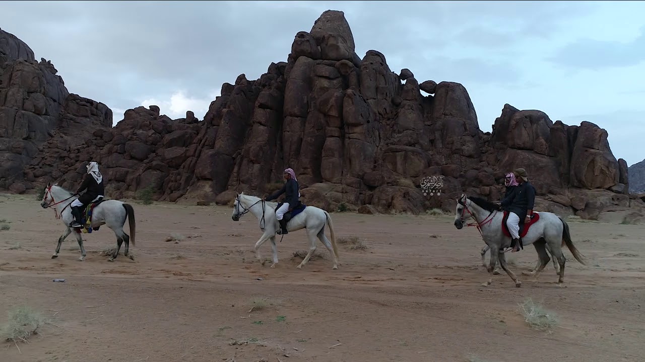 فرسان حائل