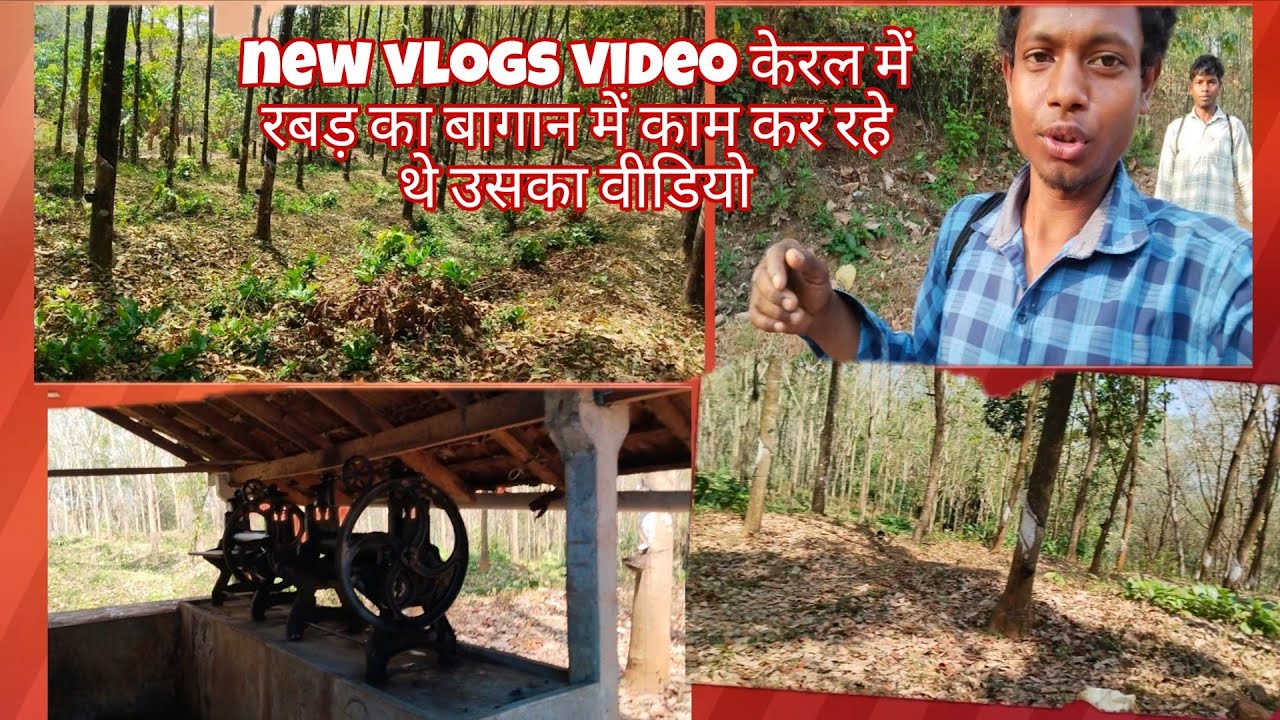 New vlogs video केरल में #रबड़ का बागान में #काम कर रहे थे उसका वीडियो
