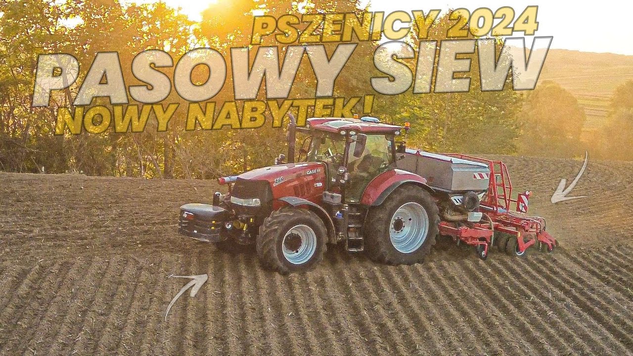 ✩ 🇵🇱 PASOWY SIEW PSZENICY 2024 ✔ 