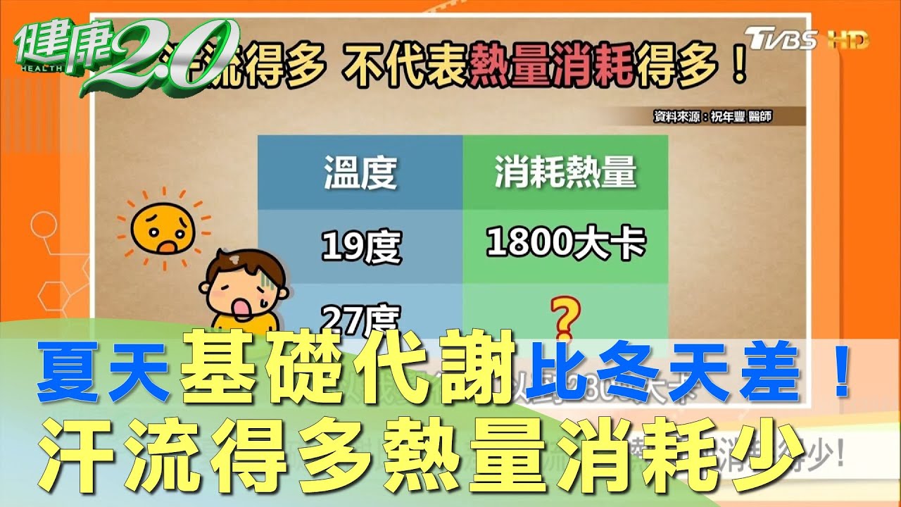 夏天基礎代謝比冬天差！ 汗流得多熱量卻消耗得少！ 健康2.0