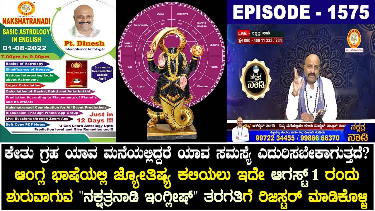 Harmful Effects of Ketu When Ketu in 12 Houses of Astrology | Learn Astrology in English in 12 Days