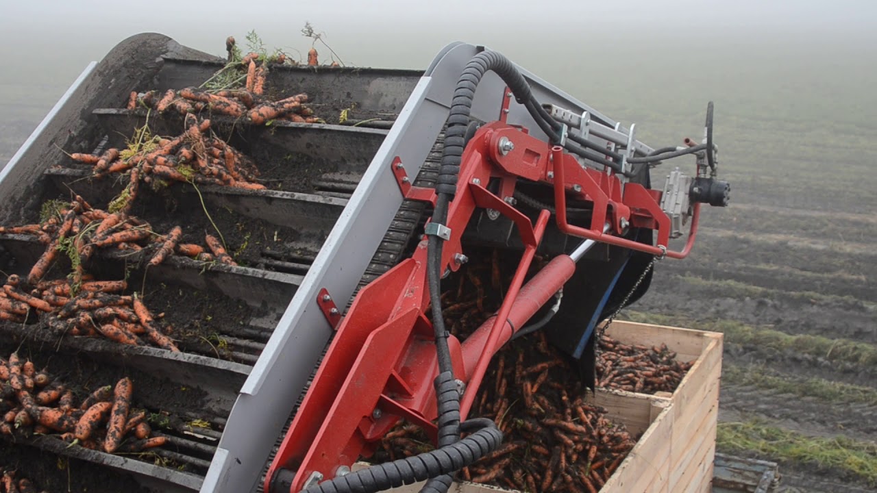 Carots harvester self propeled SUPER FAST 2
