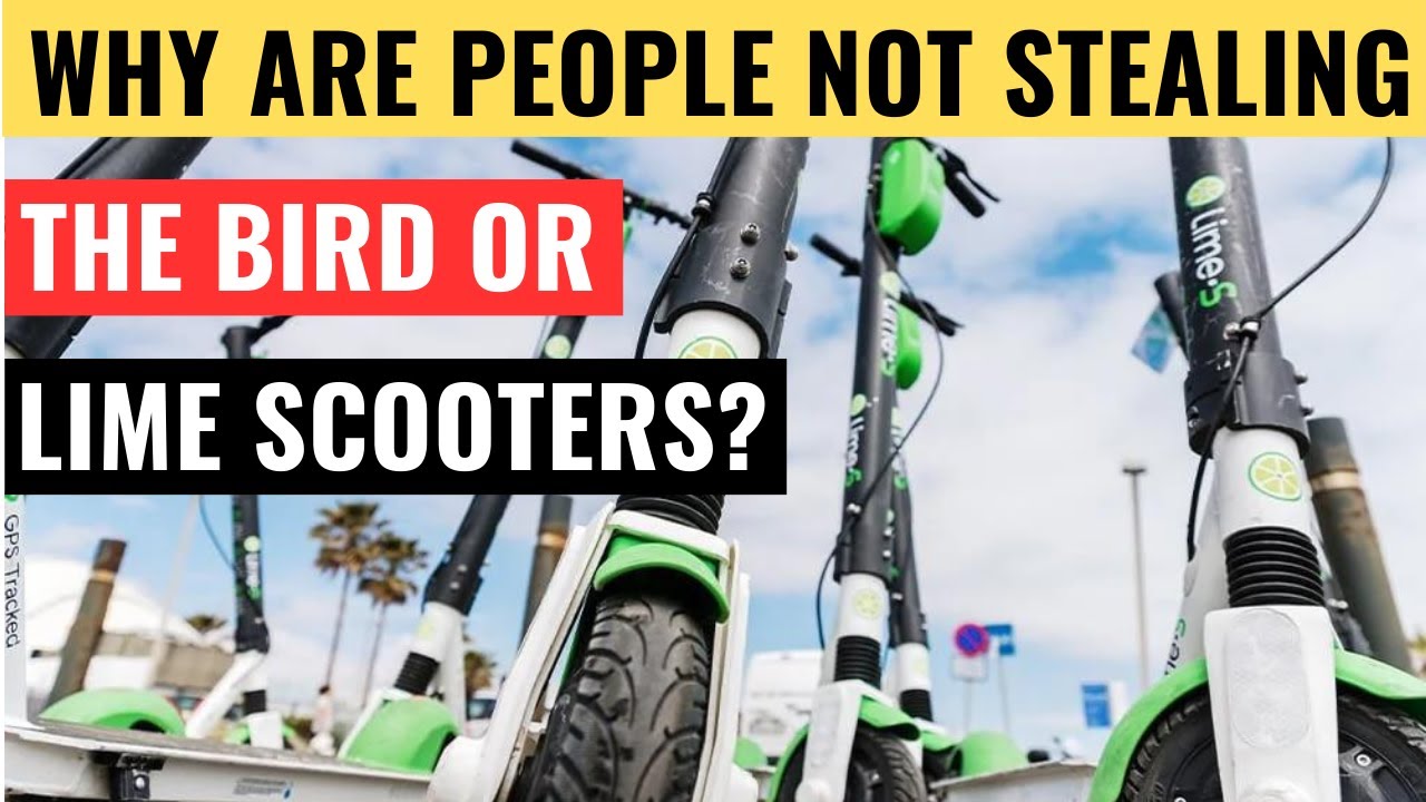Why Are People Not Stealing The Bird or Lime Scooters