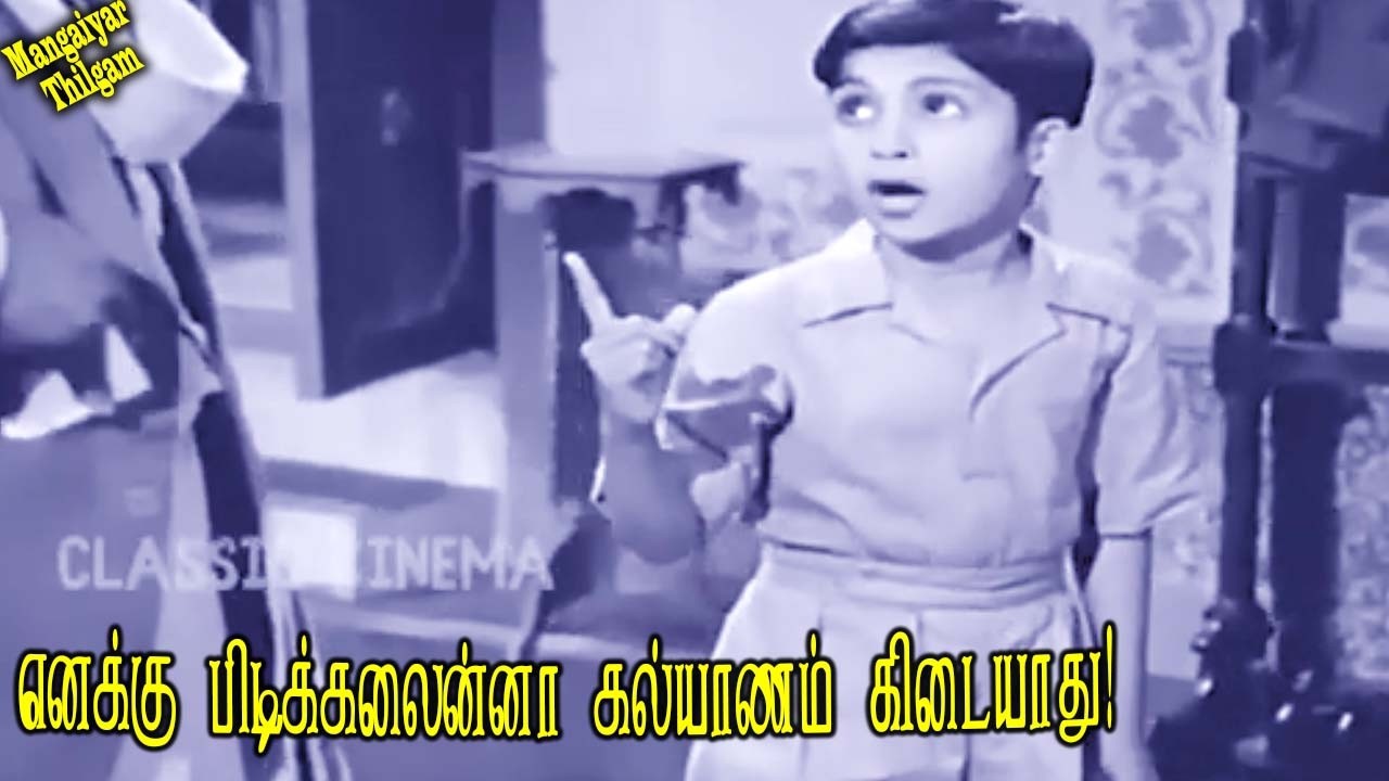எனக்கு பொண்ணை பிடிக்கலைன்னா, இந்த கல்யாணம் கிடையாது! Mangaiyar Thilagam Super Scenes