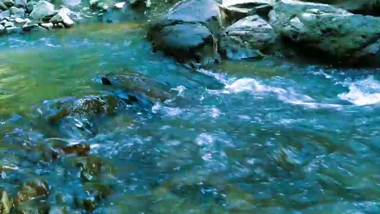 Relax in Beautiful Forest, Peaceful Forest Stream - Nature Sounds, Forest Ambience