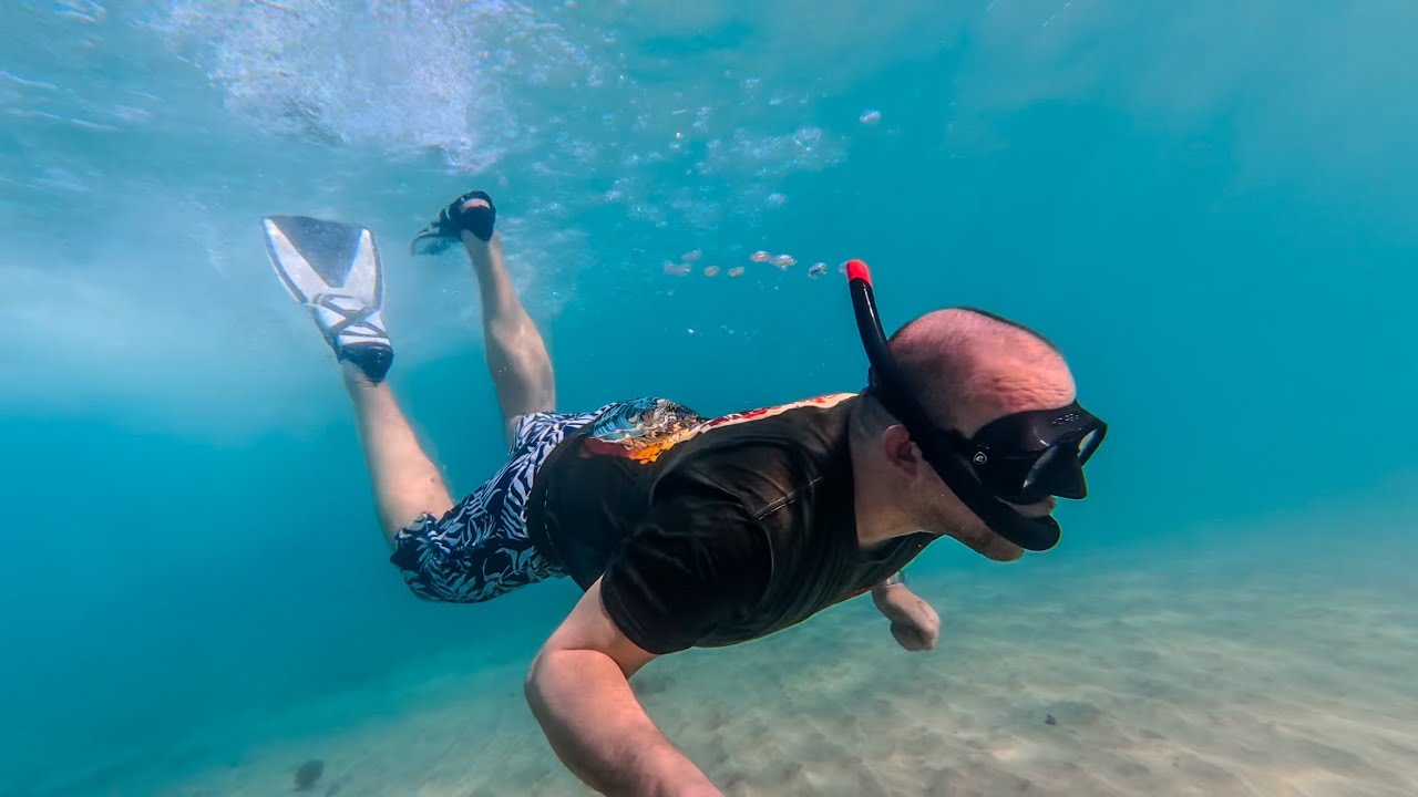 Das beste Schnorchel 🤿 Equipment für Deinen Fuerteventura Urlaub? Mares x One Cressi Calibro